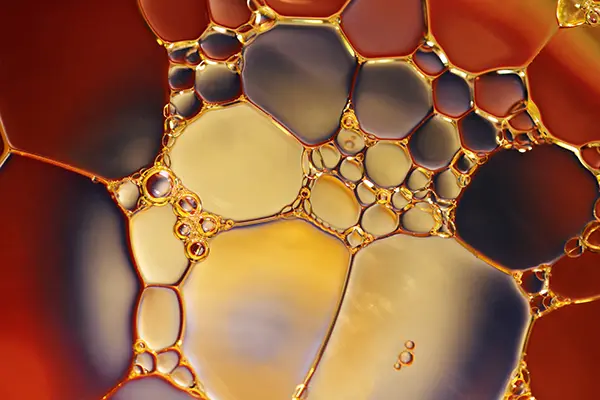 Aceites biodegradables, que son y su impacto