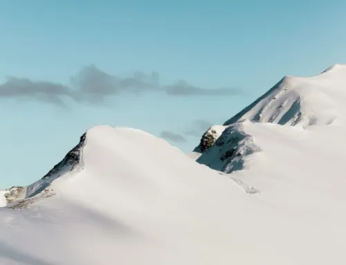 Refrigeración industrial y productividad: cómo la temperatura adecuada impulsa tus procesos